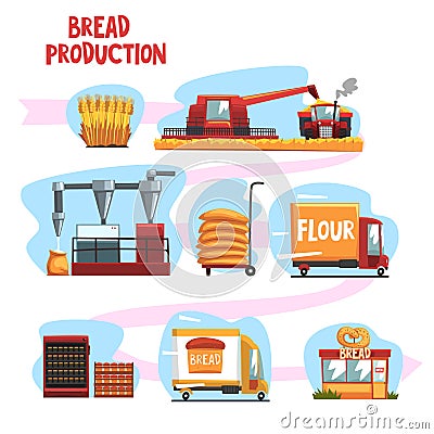 Production of bread from wheat harvest to to freshly baked bread in shop set of cartoon vector Illustrations Vector Illustration