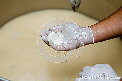 Production of cheese on the farm. Stock Photo