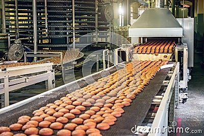 Production line of baking cookies. Biscuits on conveyor belt in confectionery factory, food industry Stock Photo