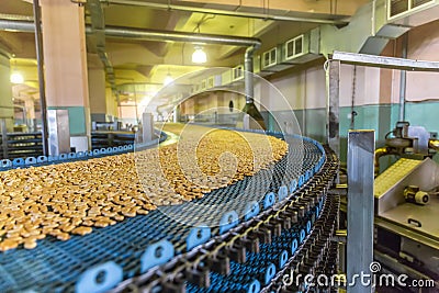 Production line of baking cookies. Biscuits on conveyor belt in confectionery factory, food industry Stock Photo