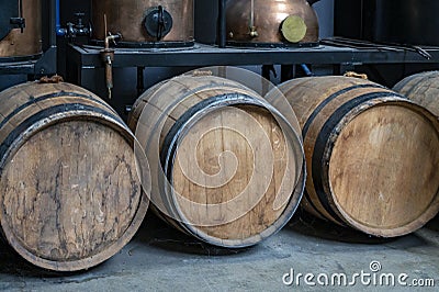 Production of sweet cassis creme liquor from ripe black currant berries, distillation and maturation in wooden barrels. Burgundy Stock Photo