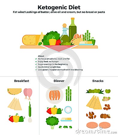 Products of ketogenic diet Vector Illustration