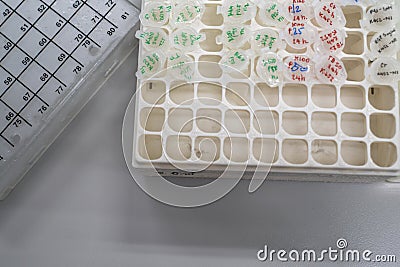 The products samples including RNA and protein are collected in 1.5ml of microtube and put them on the cryovial storage box. Stock Photo