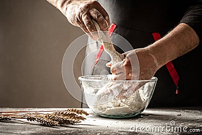 Professional baker kneads dough in glass bowl on table in bakery kitchen. Baking concept Stock Photo