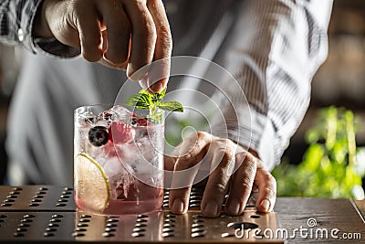 Professional barman decorated gin tonic cocktail drink and decorated it with mint herbs Stock Photo