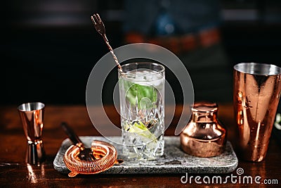 Professional bartender preparing cocktails with mojito at bar counter. Gin Tonic cocktail served in restaurant, pub and bar. Long Stock Photo