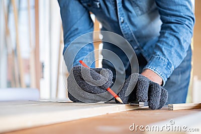 Professional carpenter wear glove and used pencil to point the line on the wooden sheet in the modern wood workplace. Create the Stock Photo