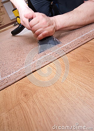 Professional carpet cleaning Stock Photo