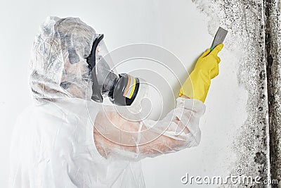 A professional disinfector in overalls processes the walls from mold with a spatula. Removal of black fungus in the apartment and Stock Photo