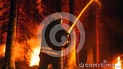 Professional Firefighter Quickly Extinguishing a Forest Fire with the Help of a Fire Hose. Fireman Stock Photo