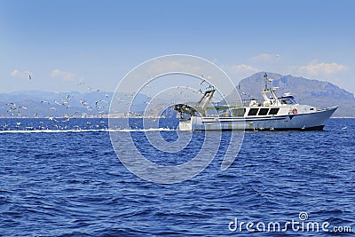 Professional fisherboat many seagulls blue ocean Stock Photo