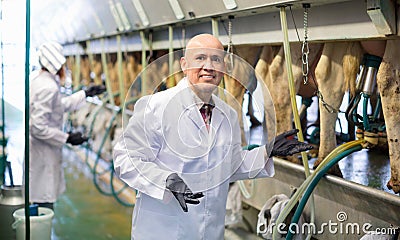 Professional friendly smiling milkers operating machine milking Stock Photo