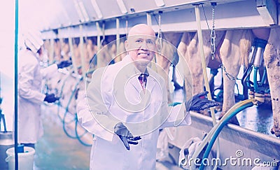 Professional friendly smiling milkers operating machine milking Stock Photo