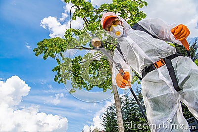 Professional Gardener Spraying Weeds Stock Photo