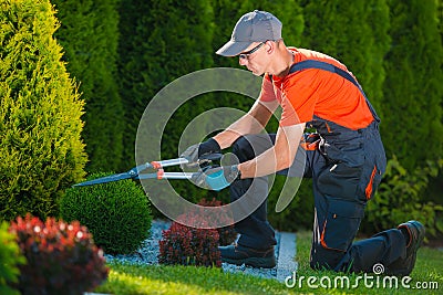 Professional Gardener at Work Stock Photo