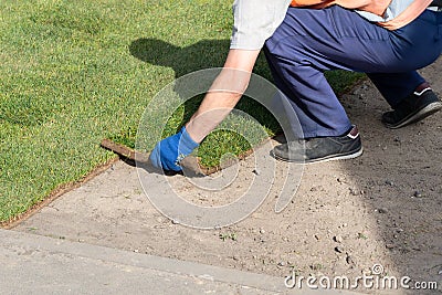 Professional gardener worker laying fresh artificially grown rolled lawn. Detail process of installation grass roll Stock Photo