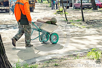 Professional gardener worker laying fresh artificially grown rolled lawn. Detail process of installation grass roll Stock Photo