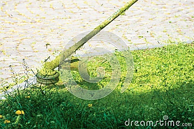 Professional grass mowing in the park Stock Photo