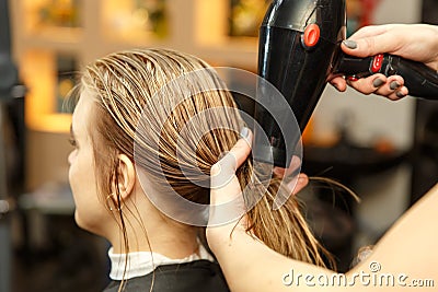 Professional hairdresser dyeing hair of her client in salon. Haircutter dry hair with hairdrier. Selective focus. Stock Photo