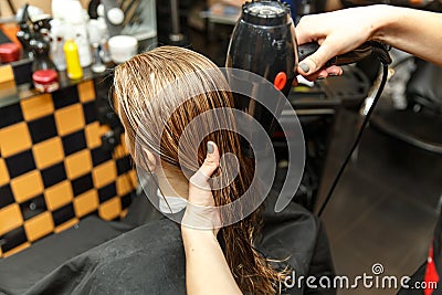 Professional hairdresser dyeing hair of her client in salon. Haircutter dry hair with hairdrier. Selective focus. Stock Photo