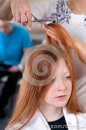 Professional hairdresser services Stock Photo