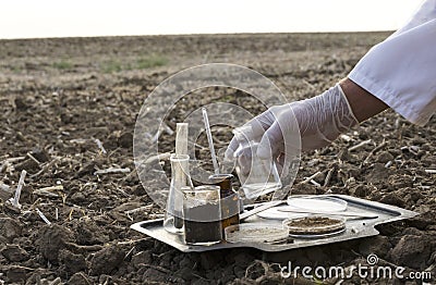 Professional laboratory worker testing soil in the field Stock Photo