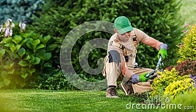 Professional Landscaper Focused on Pruning Plant Stock Photo