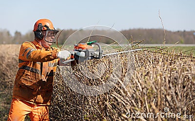 Professional landscaper gardener man worker in uniform and hearing protection headphones trimming hedgerow Stock Photo