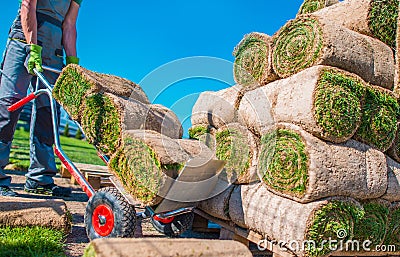 Landscaper Grass Instalation Stock Photo