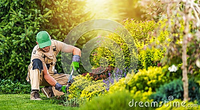 Professional Landscaper Performing Backyard Garden Maintenance Stock Photo