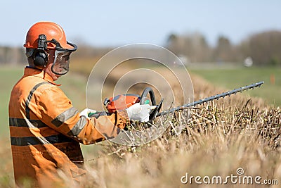 Professional Landscaper in uniform and hearing Protection Headphones trimming hedgerow with Gas Powered Clipper Stock Photo