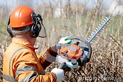 Professional landscaper worker trimming hedgerow with gas powered clipper Stock Photo