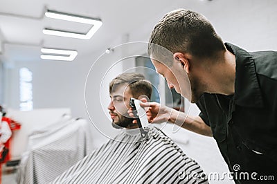 Professional male hairdresser cuts bearded man in modern barbershop, uses clipper. Focusing on a barber with a clipper creates a Stock Photo