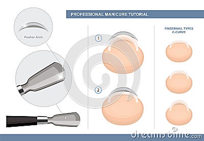 Professional Manicure Tutorial. How to Use a Cuticle Pusher. Fingernail Types. Nail Extension and Manicure Tools. Vector Vector Illustration