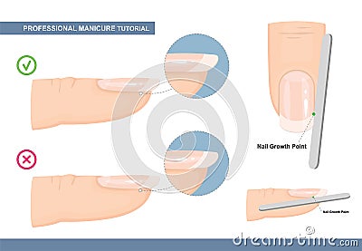 Professional Manicure Tutorial. The Perfect Nail Shape. How to File Nails the Right Way. Manicure Mistakes. Vector Vector Illustration