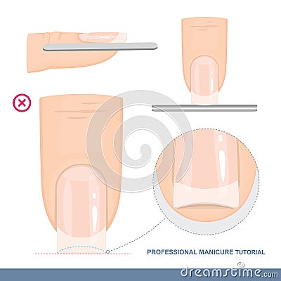 Professional Manicure Tutorial. The Perfect Nail Shape. Manicure Mistakes. Vector Vector Illustration