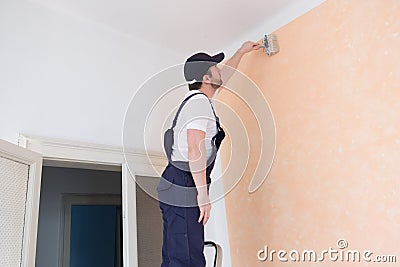 Professional painter worker is painting one wall Stock Photo