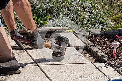 A professional paver worker laying patio slabs in a gravel bed using a professional paving hammer. Equipment from a bricklayer for Stock Photo