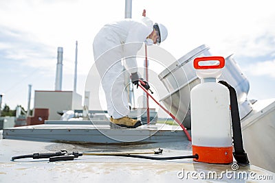 Professional in protective uniform, mask, gloves in the roof for cleaning Stock Photo