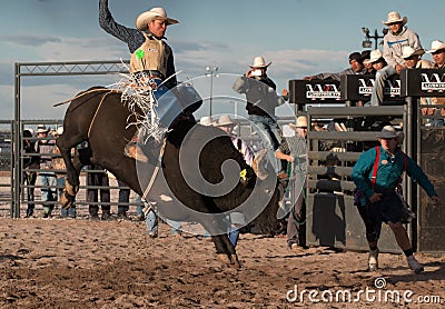 Professional Rodeo Bull Riding Editorial Stock Photo