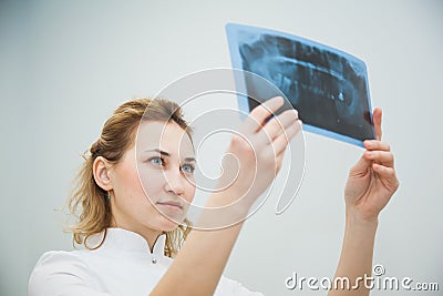 Professional stomatologist checking dental x-ray image Stock Photo