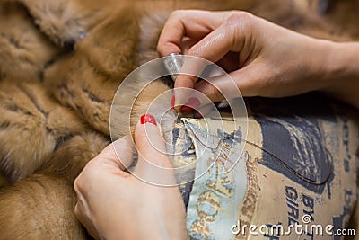 Tailor repairing fur coat Stock Photo