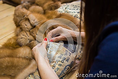 Tailor repairing fur coat Stock Photo