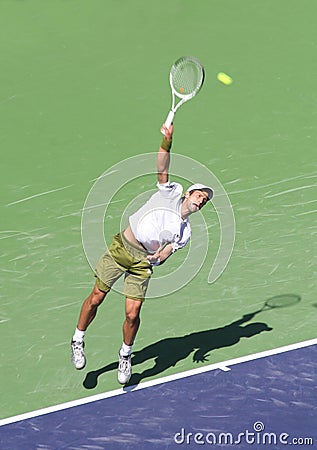 Professional Tennis Player. Editorial Stock Photo