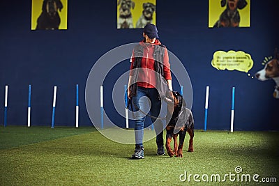 Professional trainer teaching a canine the Heel command Stock Photo