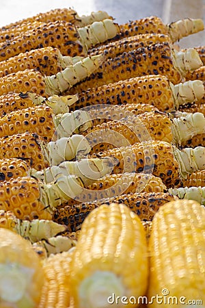 Profile shot of grilled corn on the cob in rows Stock Photo