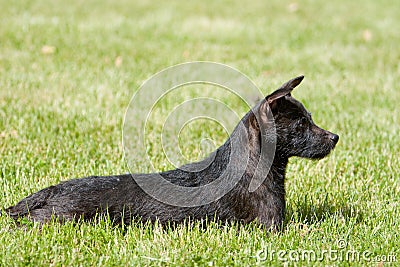 Profile of sunning Patterdale Stock Photo