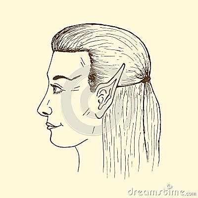 Profile of a young elf. Vector hand drawn elf's face. Vector Illustration