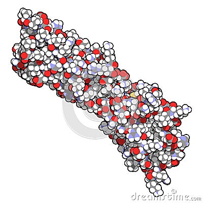 Programmed death-ligand 1 PD-L1 protein. Produced by tumor to suppress the immune system. Blockers of the PD-L1 and PD-1. Stock Photo