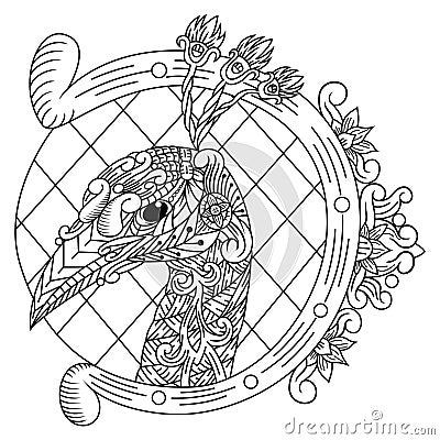 Hand drawn of peacock head in zentangle style Vector Illustration